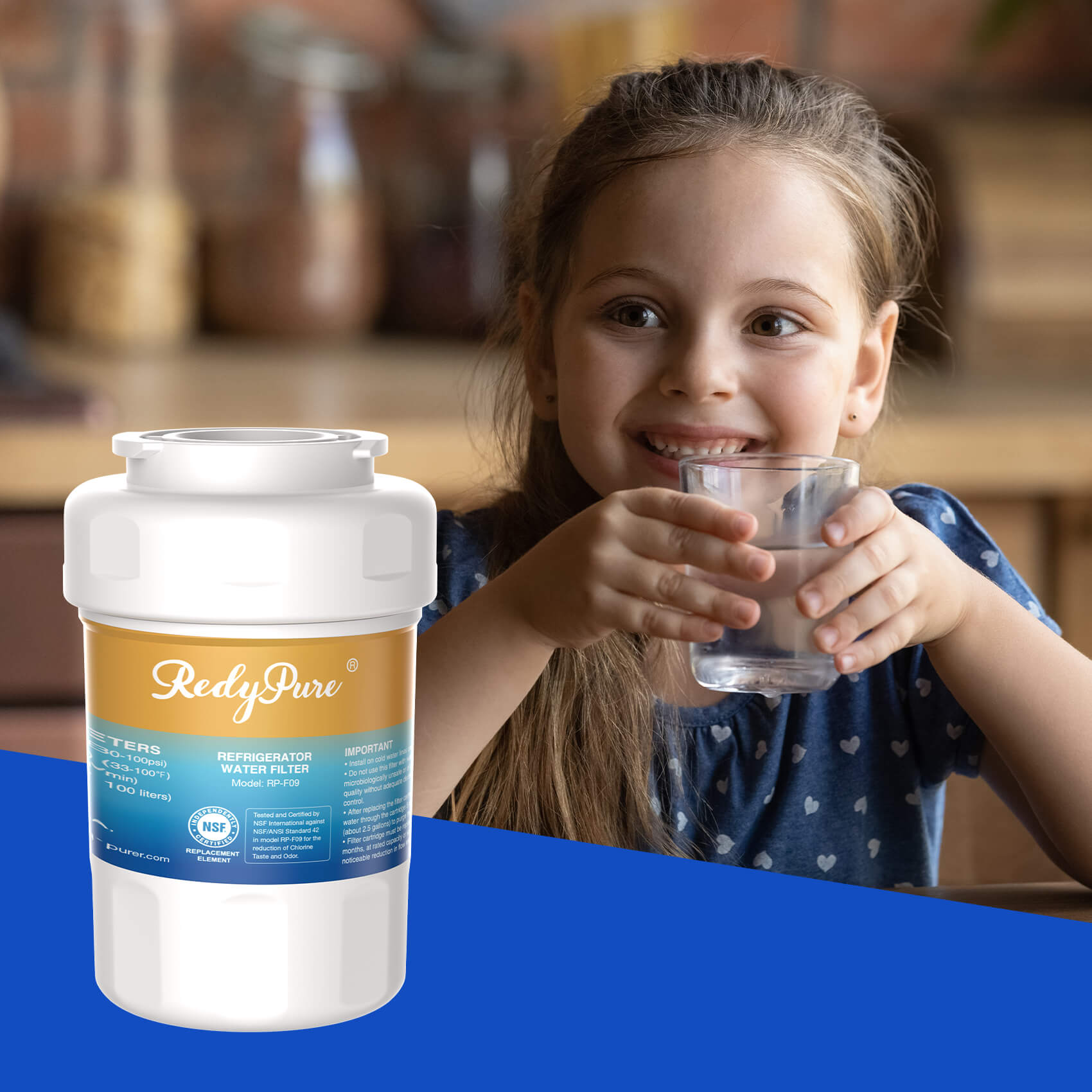 RedyPure RP-F09 Replacement for GE MWF GWF06 FMG1 WF287 EFF-6013A PL-100 Refrigerator Water Filter