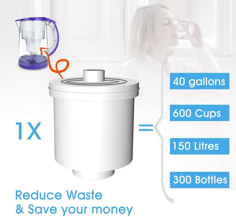 DP05 Water Filtering Pitcher 3.5L(12-Cup)