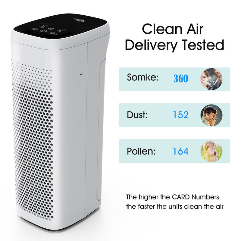 air purifier for smoke smell
