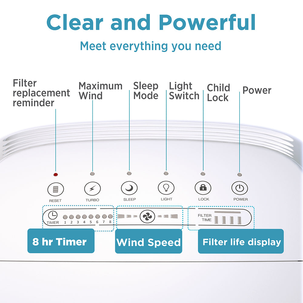 air purifier for large space