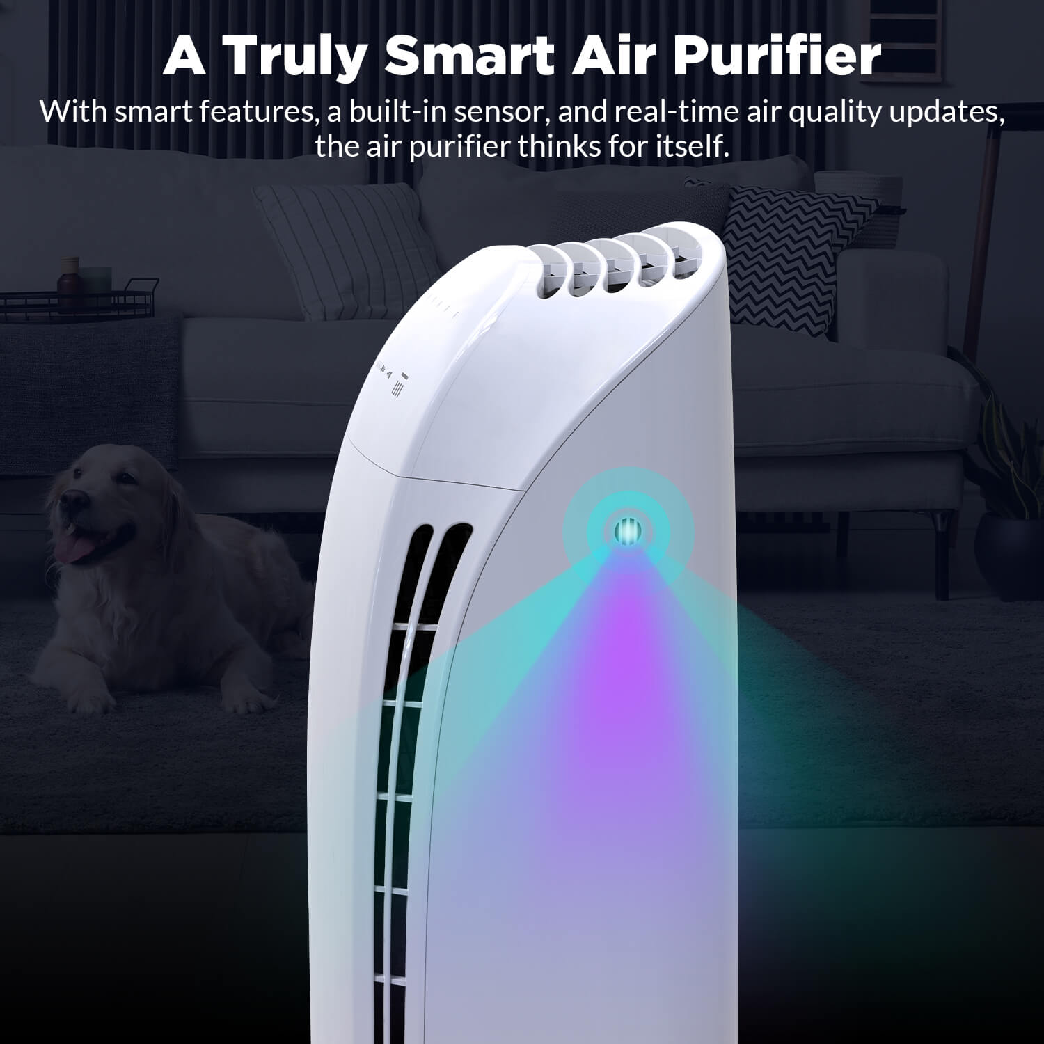 air purifier Alexa 