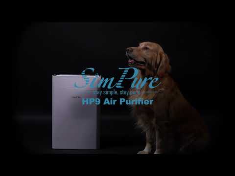 air purifier for big room